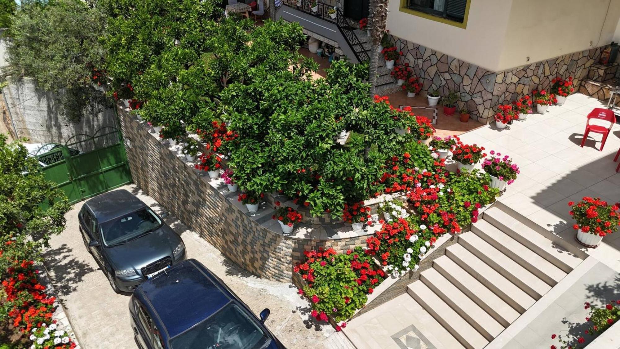 Villa Meminaj Vlorë エクステリア 写真